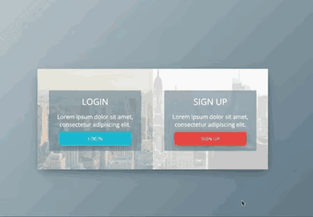 Login & Sign Up Form Concept